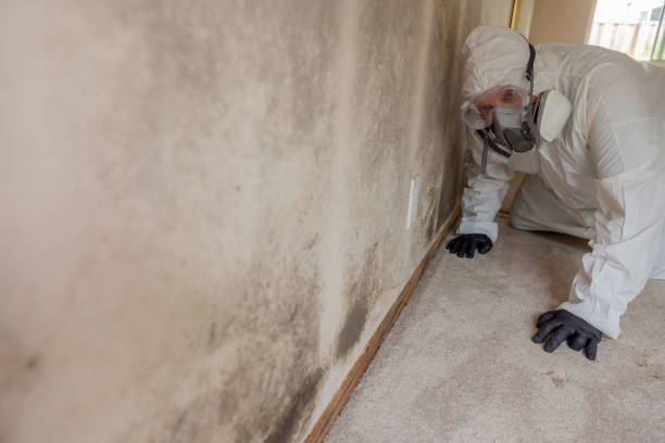 Best Asbestos and Lead Testing During Mold Inspection  in Shady Point, OK